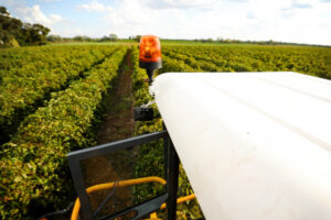 Wine industry know-how comes together for future in Mildura