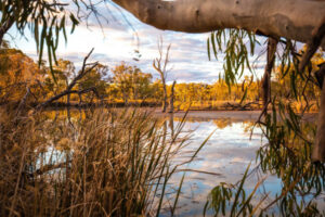 $10k golden tag still up for grabs