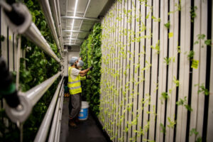Good to grow at TAFE farm