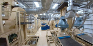 Hattah almond plant aims for $15 million output