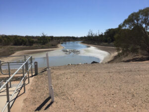Menindee fears dry river bed as Lake Wetherell disconnects
