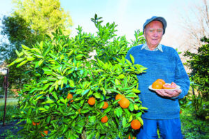Orange grower hits sweet spot