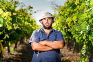 Heat fears heighten for Sunraysia grape growers