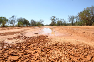 Funding to seal Wentworth Shire roads on member’s NSW budget wish list