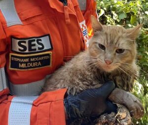 One down, eight to go