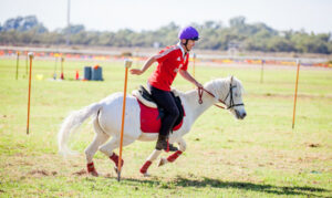 Horsing around in Wentworth