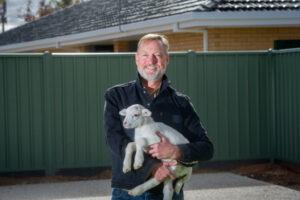 Vets warn of climate risk for animals