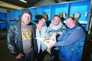 Mildura and district poultry and pigeon fanciers championship show: Competition is for the birds