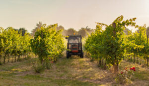 KICK IN THE GUTS: Growers slam council’s farming rate hike