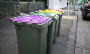 Ratepayers likely to foot bin cost, Mildura mayor says