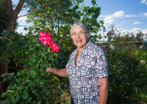 Sunraysia autumn flower show to blossom for Mother’s Day