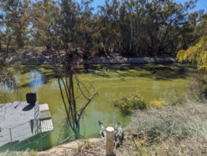Darling flush fixed proposed