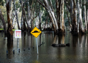 Mildura weir coming out to make way for high Murray flows