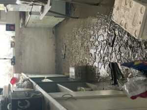 Floods ‘pretty much destroyed everything’