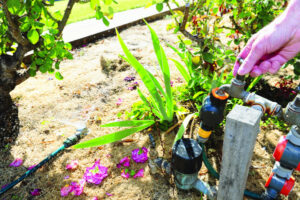 Mildura guzzles water