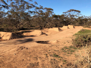 Mildura forest damaged by bike tracks and jumps