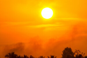 Daily Matters: Healthy debate a casualty of the climate wars