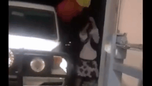 Group terminates partnership with Mildura Travel and Cruise