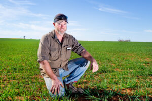 July rains bring grain hope to Millewa