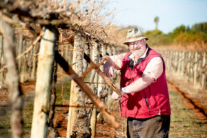 Trying on the vines