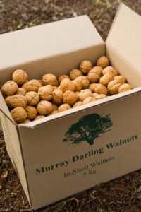 Virtual farm gate clicks for Red Cliffs walnut producer