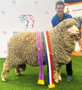 Mallee ram sales shine in 2024