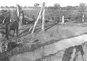 Peeps in the Past: Carting water presents a pioneering challenge