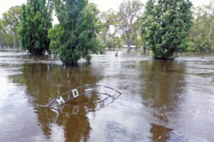Latest drone images of Mildura floodwater