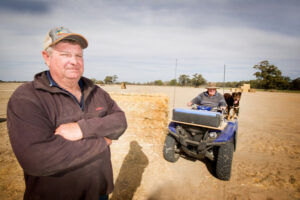 Feed hard to source in drought