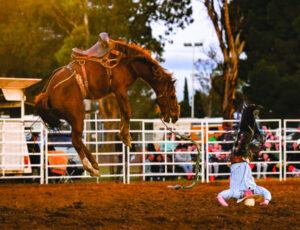 Merbein gets bang for bucks