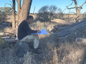 Campfire ignites creativity