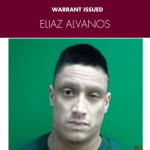 ‘Maniac’ driver wanted by police