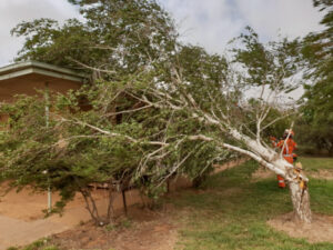 Wild winds lash Sunraysia as dust storm hits
