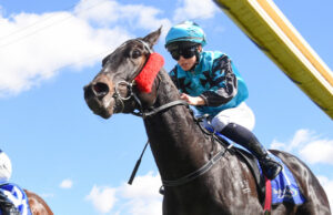 Form comment for the eight-event Mildura Cup program at Sandilong Park today