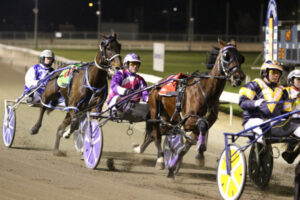 Crowds to return to Mildura harness racing
