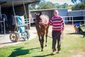 ‘Wild’ chance for Devcic