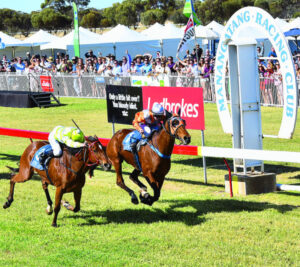 Diamond Duke grabs country crown