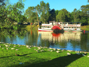 Cockatoos raid riverfront