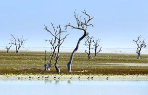 Menindee Lakes drying up