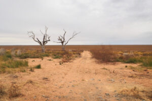 Anger over Central Darling Shire administration extension