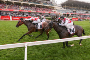 Can Air Defence swoop on the Mildura Cup?