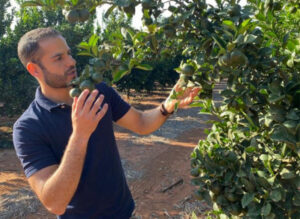 Sunraysia growers look to intelligent eye in the sky