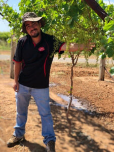 Brazilian import in our vineyards