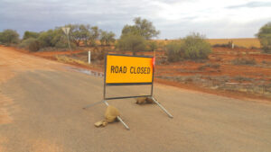 Mildura Council declares emergency on sand drifts