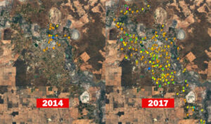 Fruit fly hot spot: Pest outbreaks explode in Mildura CBD in three years