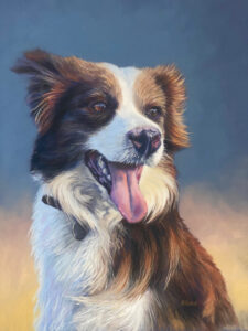 Pastel pooch is public’s favourite