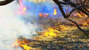 Campfire blamed for blaze