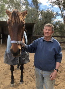 Harness racing: Luck comes to those who wait