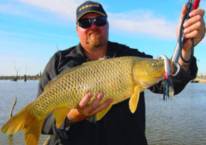 Carp control cost in focus