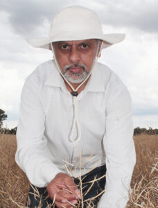 Canola genes show resistance